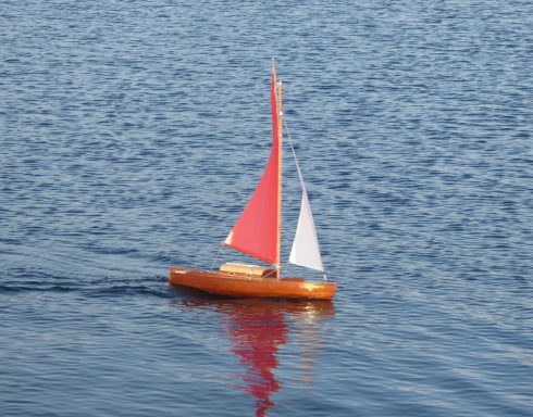 Bilder von Thomas